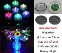 9M. Đèn chìm dưới nước, bóng đổi màu ɸ 3 cm cao 2,5 cm: 10.000 đ/cái