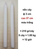 Nến cây màu trắng ɸ 3 cm, cao 37 cm: 60.000 - 80.000 đ/kg (HẾT HÀNG)