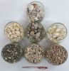 Vỏ sò ốc (7 loại): 10.000 đ/10 gr, 50.000 đ/100 gr, 350.000 đ/kg, 6 kg = 1.750.000 đ - anh 1