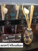 Tinh dầu khuếch tán chai lớn 50 ml: 240.000 đ/chai